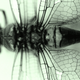Illustration for article titled Welcome to the Age of the Bionic Superbug